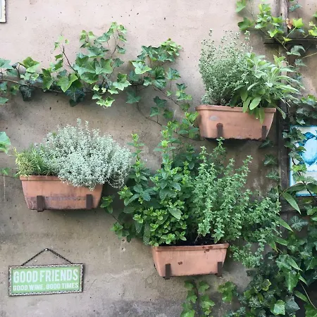 Apartment Wohnen