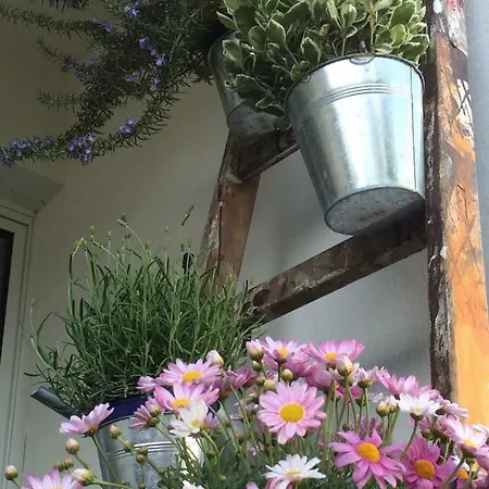 Apartment Wohnen