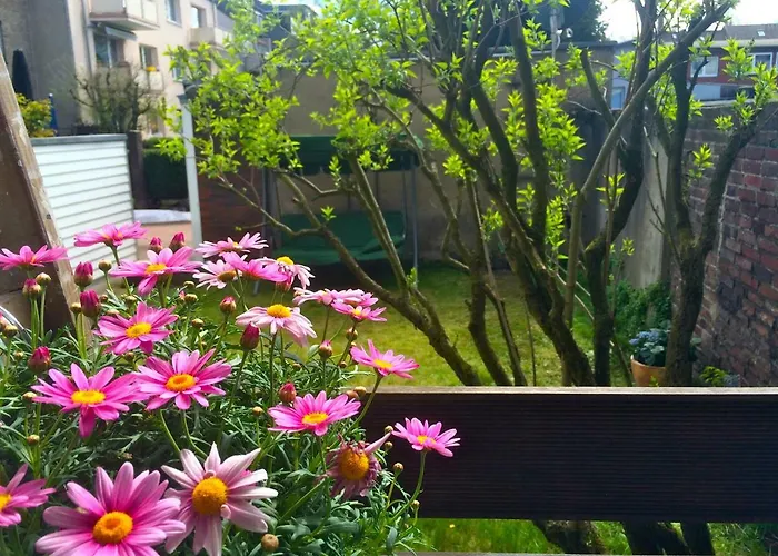 Wohnen * 杜伊斯堡